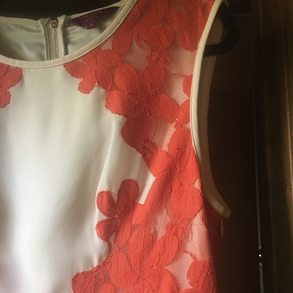 Ted Baker London Lace Colorblocked Dress - Picture 6 of 7
